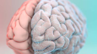 The Holistic Way to Address Brain Damage