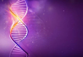 Wholistic Methylation: Applied Genetics