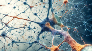 Breakthroughs in Neurology + NEW MycoRev Neuro