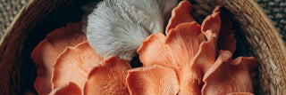 The Compound Layer. Evaluating Functional Mushrooms Beyond Beta-Glucans