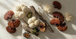 Beyond the Basics. Functional Mushrooms in Clinical Practice